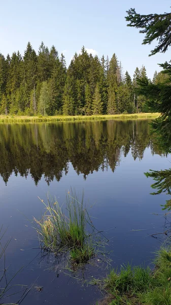 Vue Verticale Panoramique Lac Dans Forêt Fichtelberg Allemagne — Photo