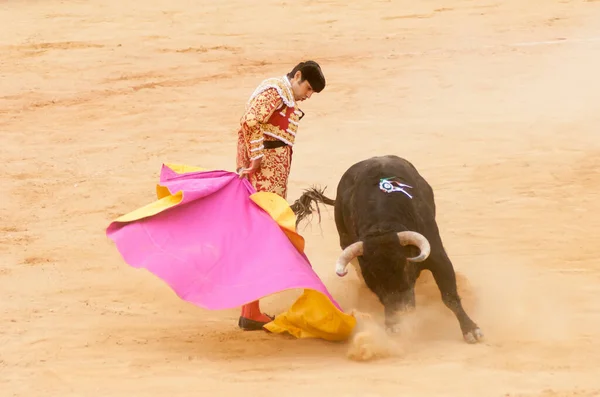 Plasencia Spain Jun 2015 Bullfight Matador Miguel Angel Perera Plaza — стокове фото
