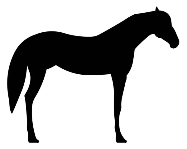 白を基調とした馬のシルエットのイラスト — ストック写真