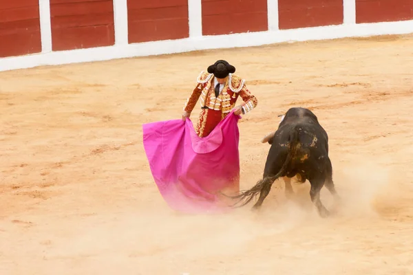 2015 Plasencia Spain Jun 2015 Bullfight Matador Miguel Angel Perera — 스톡 사진