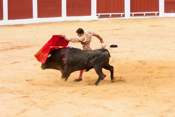 Plasencia Spain Jun 2015 Bullfight Matador Miguel Angel Perera Plaza — стокове фото