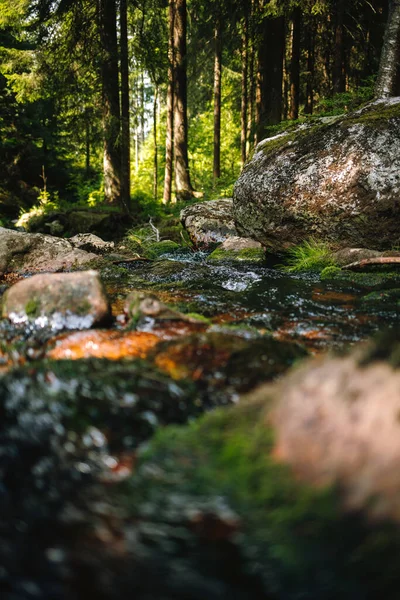 Vertikální Záběr Lesního Potoka Kameny Pokrytými Mechem — Stock fotografie