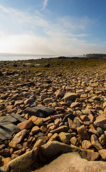 Plan Vertical Rive Rocheuse Baie Gouldsboro Dans Maine Usa — Photo