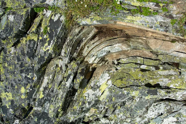 Closeup Shot Curved Stone Layers Covered Moss — Stock Photo, Image