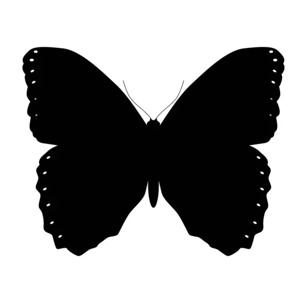 Digital Illustration Butterfly Black Silhouette Icon White Background — Stock Photo, Image