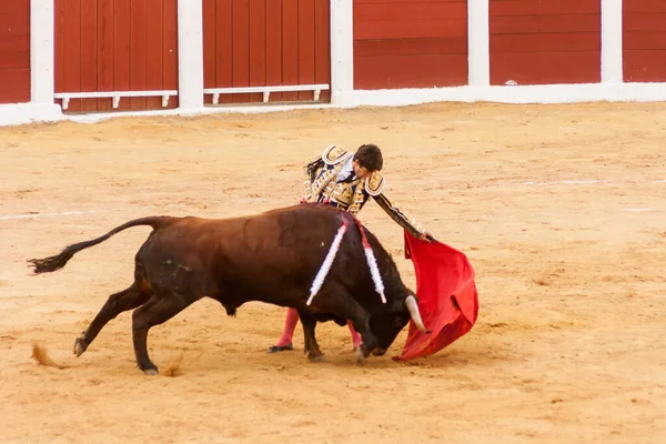Plasencia Spanje Jun 2015 Bullfight Van Matador Sebastian Castella Het — Stockfoto