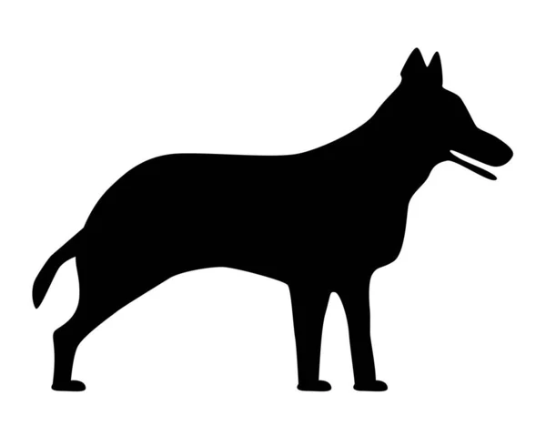 Silhouette Wolf White Background — Stock Photo, Image