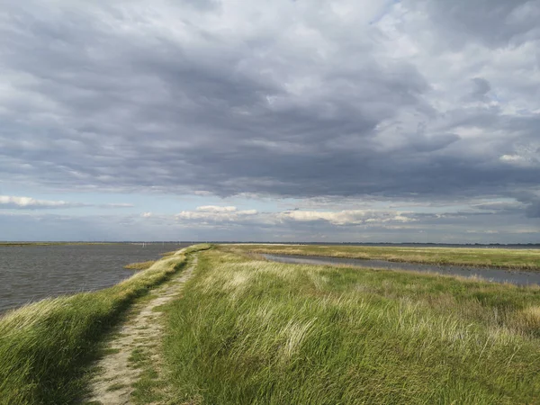 Prachtige Kust Van Noordzee Het Oosten Van Varel — Stockfoto