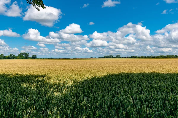 Beau Cliché Champ Avec Ciel Nuageux Brillant Fond — Photo