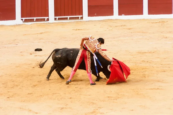 Plasencia スペイン 2015年6月13日 お祭りの機会に プラザ トロス プラセンシアのミゲル エンジェル ペレラ大使の闘牛 第二雄牛 — ストック写真
