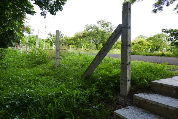 Tiro Grama Verde Com Uma Cerca Lado — Fotografia de Stock