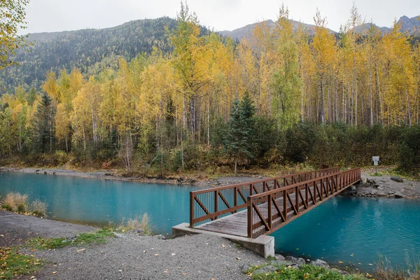 Krásný Záběr Mostu Podzimním Lese — Stock fotografie