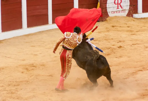 Plasencia España Junio 2015 Corridas Toros Del Matador Miguel Ángel — Foto de Stock