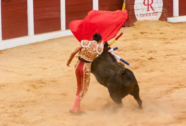 Plasencia Spain Jun 2015 Bullfight Matador Miguel Angel Perera Plaza — стокове фото