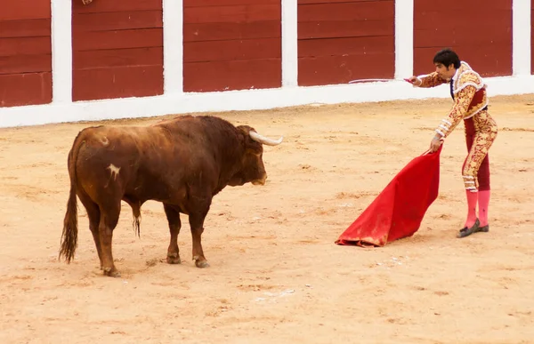 Plasencia Spain Jun 2015 Bullfight Matador Miguel Angel Perera Plaza — стокове фото