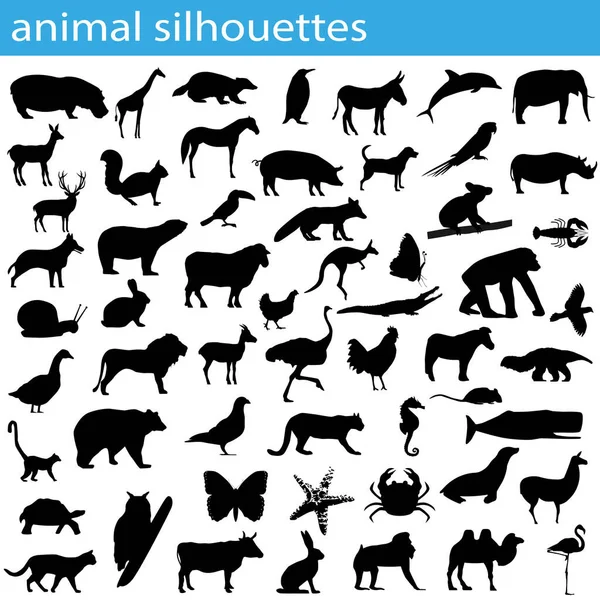 Illustration Silhouettes Animales Isolées Sur Fond Blanc — Photo