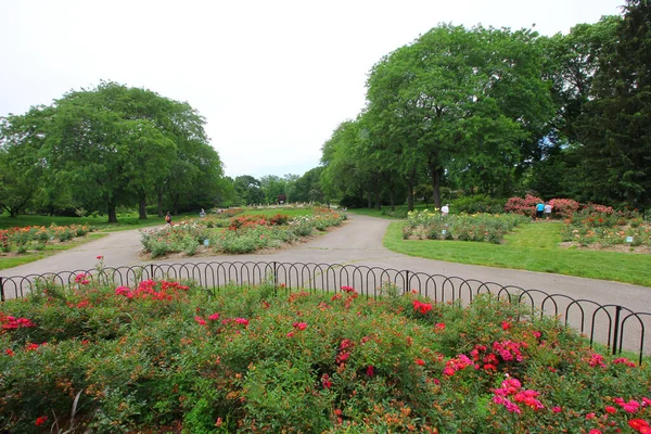 Gran Parque Con Coloridas Flores Árboles — Foto de Stock