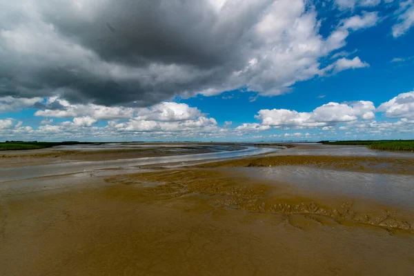 Een Groot Veld Modderig Bruin Water Onder Een Helderblauwe Lucht — Stockfoto