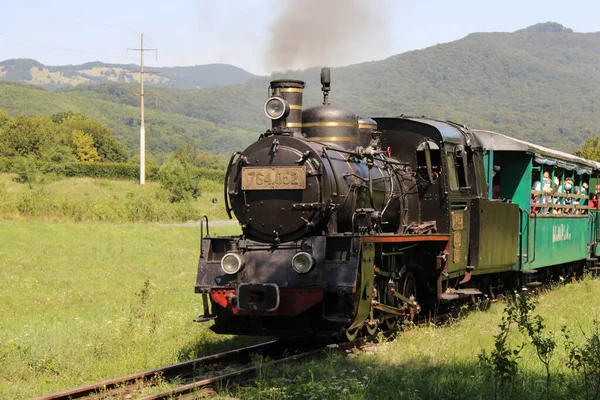 Sova Romania 2020 Tren Estrecho Llamado Mocanita Sovata Campul Cetatii — Foto de Stock