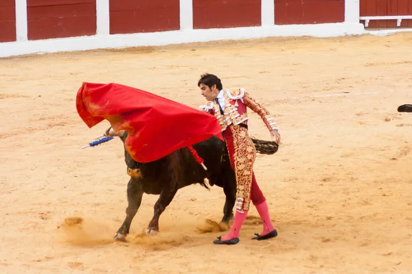 Plasencia Ισπανια Ιούνιος 2015 Ταυρομαχία Του Ταυρομάχου Miguel Angel Perera — Φωτογραφία Αρχείου