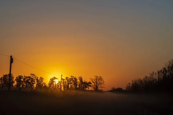 Majestuoso Disparo Siluetas Árboles Atardecer Una Niebla Suelo —  Fotos de Stock