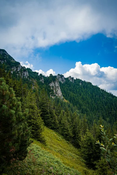 Beautiful Green Mountainous Landscape Lot Trees Cloudy Sky — Stock Photo, Image