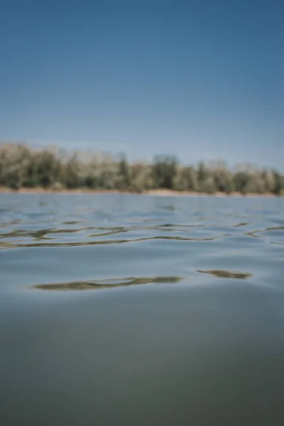 Pionowe Ujęcie Zielonych Drzew Pobliżu Jeziora Pod Błękitnym Niebem — Zdjęcie stockowe