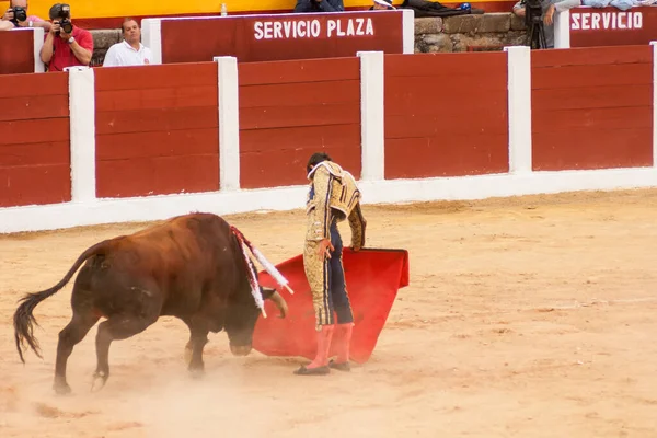 2014 Plasencia Spain Jun 2015 Bullfight Matador Sebastian Castella Plaza — 스톡 사진