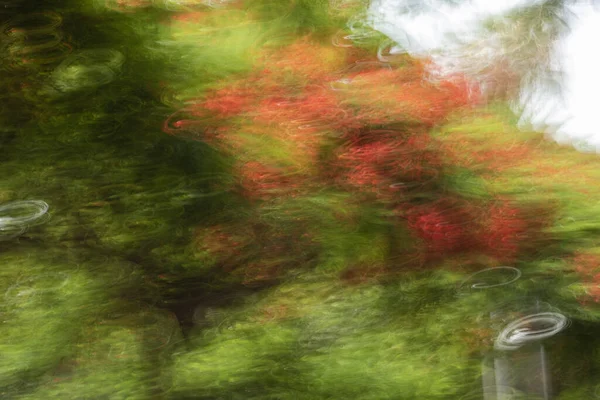 Een Abstract Groen Rood Wazig Behang — Stockfoto