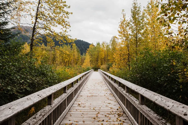 Una Bella Ripresa Ponte Nella Foresta Autunnale — Foto Stock