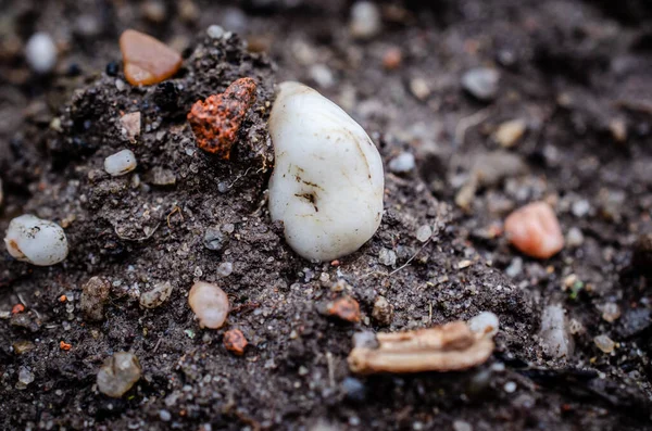 Nahaufnahme Einer Strukturierten Steinoberfläche Perfekt Für Einen Hintergrund — Stockfoto