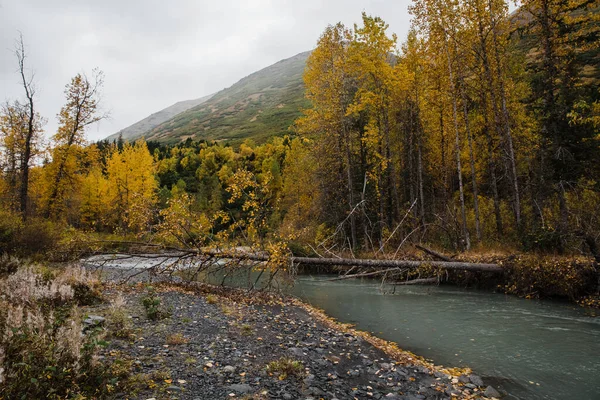 Isfjällssjö Höstlandskapet Alaska — Stockfoto