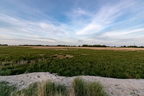 Een Lage Hoek Opname Van Zand Grasland Een Bewolkte Dag — Stockfoto