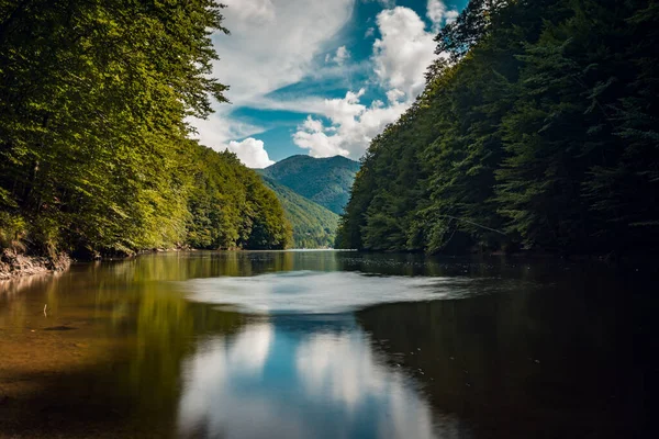 Una Bella Foto Lago Una Foresta Durante Una Giornata Sole — Foto Stock