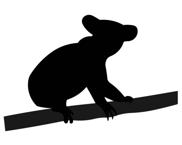 Illustration Einer Koala Silhouette Auf Einem Ast Isoliert Auf Weißem — Stockfoto