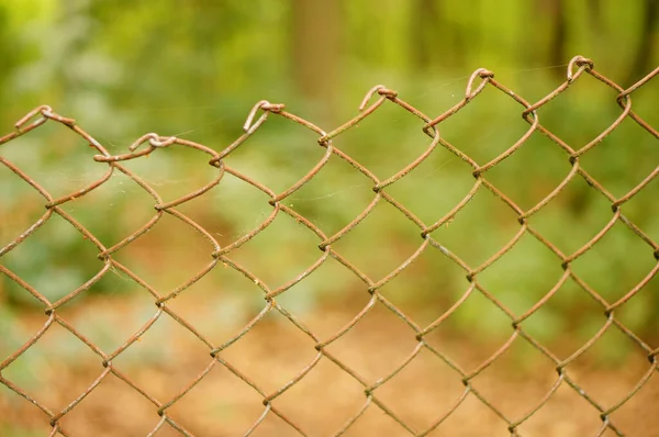 Een Close Shot Van Een Ketting Schakel Hek — Stockfoto