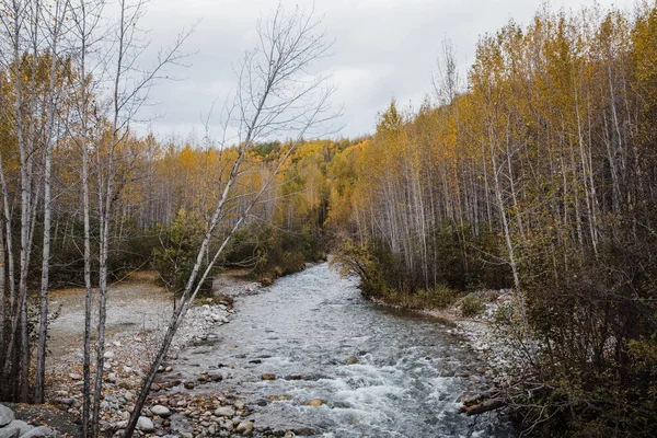 Horská Řeka Podzimní Krajině Aljaška — Stock fotografie