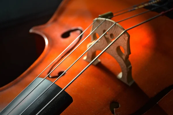Візуалізація Блискучого Коричневого Фрагмента Скрипки Струнами Передньому Плані — стокове фото
