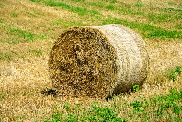 Uma Pilha Feno Campo Durante Dia — Fotografia de Stock