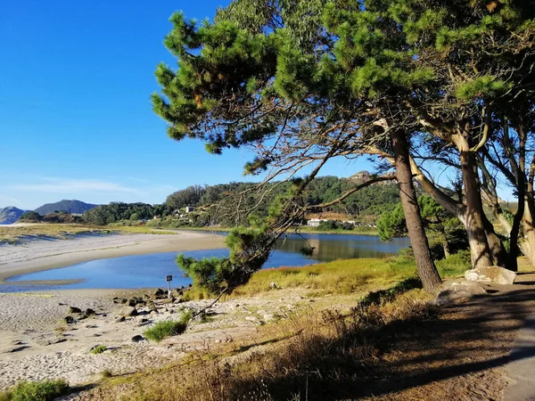 Belo Tiro Árvores Uma Lagoa Nas Ilhas Cies Galiza Espanha — Fotografia de Stock