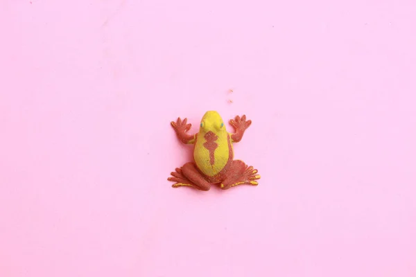 Eine Draufsicht Auf Ein Froschförmiges Gummispielzeug Auf Einer Rosa Oberfläche — Stockfoto