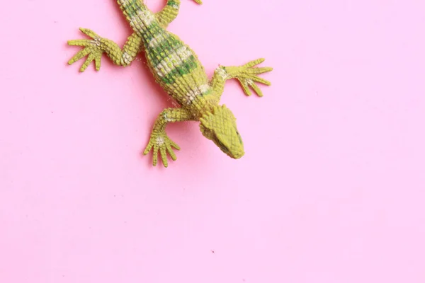 Widok Góry Zielonej Zabawki Kształcie Jaszczurki Różowej Powierzchni — Zdjęcie stockowe