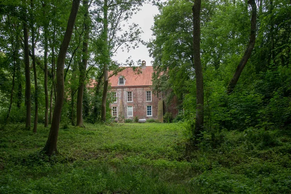 Krásný Horký Dům Jasně Zeleném Lese — Stock fotografie