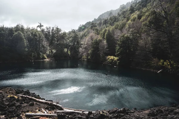 Ein Faszinierender Blick Auf Einen Ruhigen See Umgeben Von Dichtem — Stockfoto