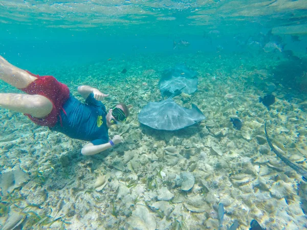 Krásný Snímek Potápějící Osoby Ukazující Palce Nahoru Podmořský Svět Poblíž — Stock fotografie