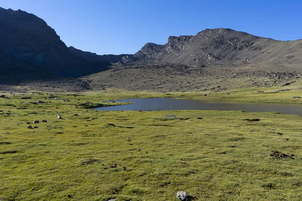 Prado Verde Pequeño Lago Las Montañas — Foto de Stock