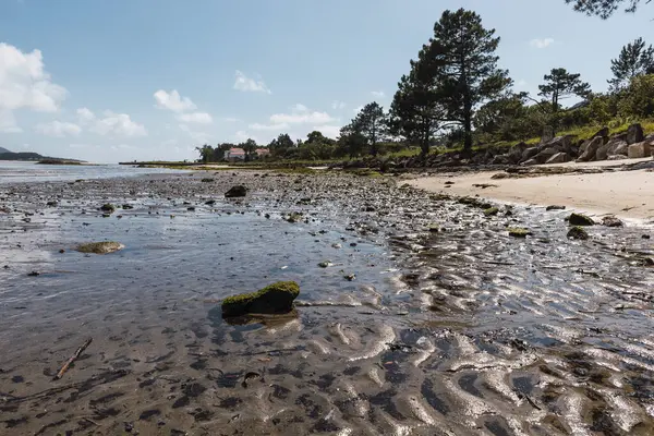 Etrafı Yeşilliklerle Çevrili Kayalık Bir Plajın Yakın Çekimi — Stok fotoğraf
