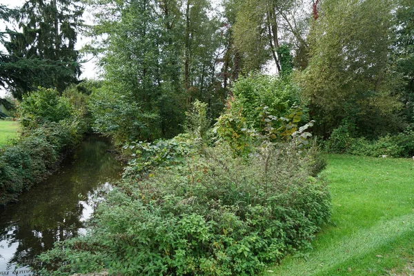 Parkta Bitkilerle Çevrili Küçük Bir Göl — Stok fotoğraf