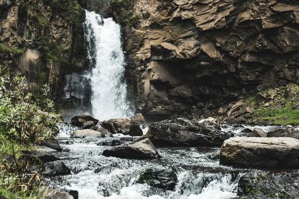 Vista Deslumbrante Uma Cachoeira Cercada Por Plantas — Fotografia de Stock