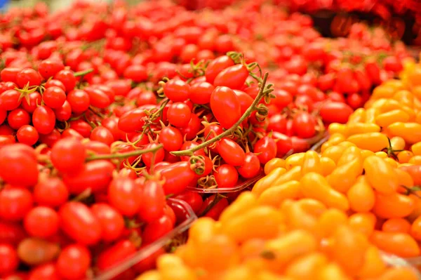 Eine Nahaufnahme Von Kleinen Roten Und Gelben Tomaten Auf Einem — Stockfoto